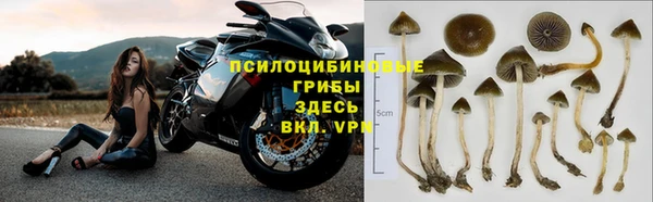 прущие крисы Алзамай