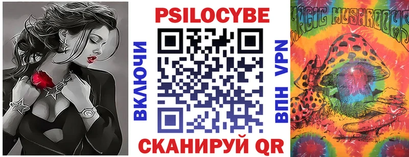 Псилоцибиновые грибы Psilocybine cubensis  Харовск 